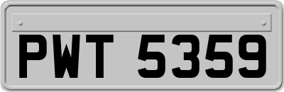 PWT5359