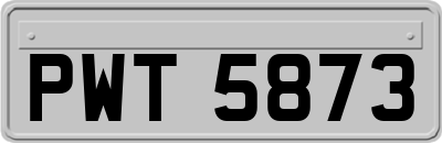 PWT5873