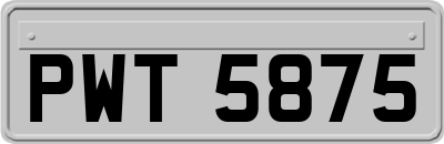 PWT5875