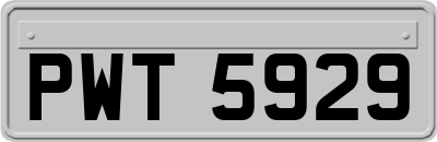 PWT5929