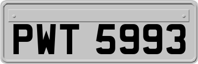 PWT5993