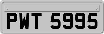 PWT5995