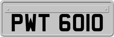 PWT6010