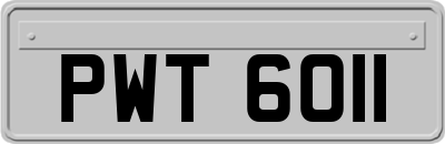 PWT6011