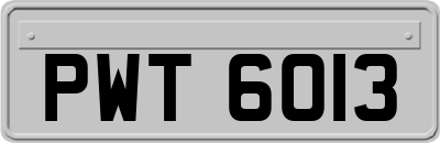 PWT6013