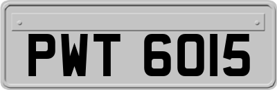 PWT6015