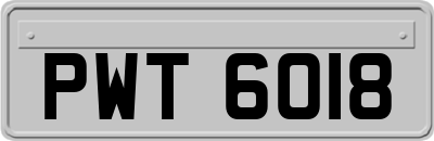 PWT6018