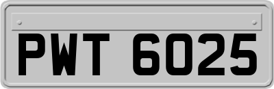 PWT6025