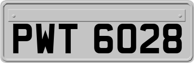 PWT6028