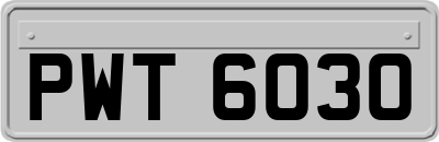 PWT6030