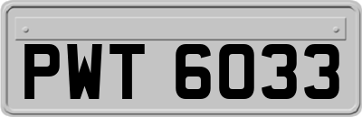 PWT6033