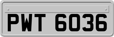 PWT6036