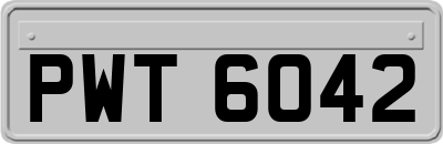 PWT6042