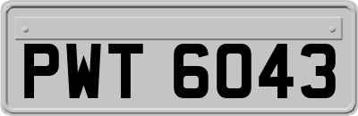 PWT6043