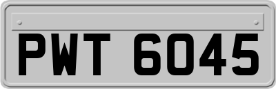 PWT6045