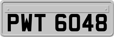 PWT6048