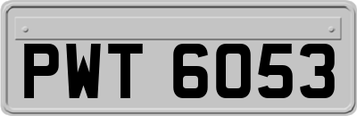 PWT6053