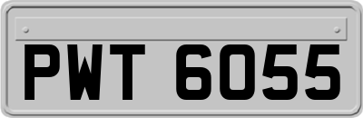 PWT6055