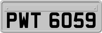 PWT6059