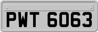 PWT6063