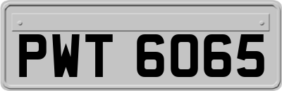 PWT6065