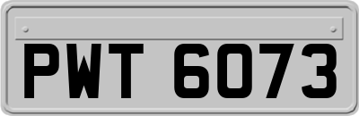 PWT6073