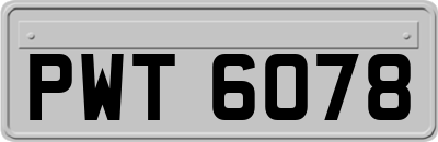 PWT6078