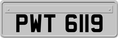 PWT6119