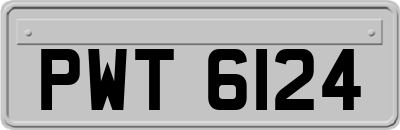 PWT6124