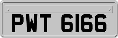 PWT6166