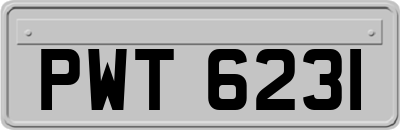 PWT6231