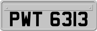 PWT6313