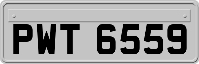 PWT6559