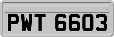 PWT6603