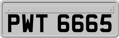 PWT6665