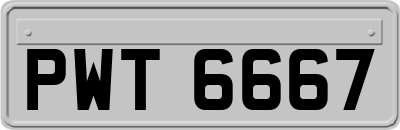 PWT6667