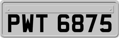 PWT6875