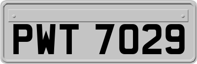 PWT7029