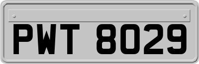 PWT8029