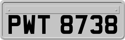 PWT8738