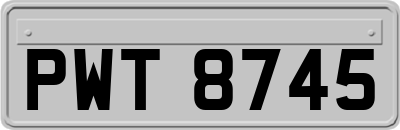 PWT8745