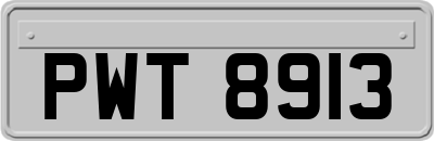 PWT8913