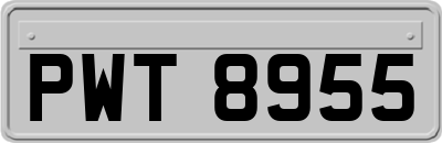 PWT8955