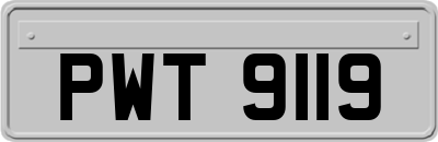 PWT9119