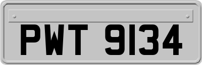 PWT9134