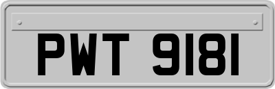 PWT9181