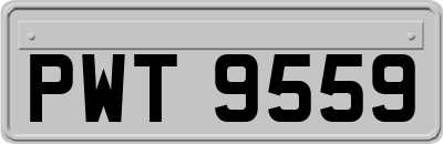 PWT9559