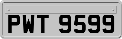 PWT9599