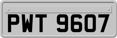 PWT9607