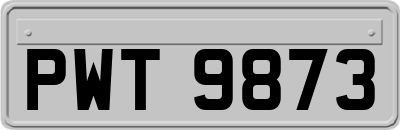 PWT9873